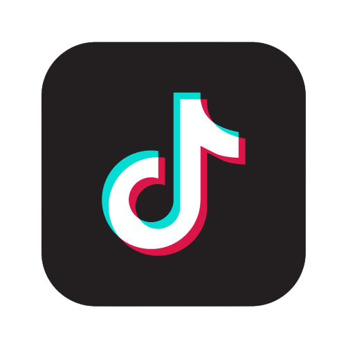 logo tiktok2 removebg preview
